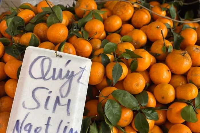 Quýt Sim Cuối Vụ "Gây Sốt": Nghịch Lý Chất Lượng Và Sức Hút Trái Cây Nội