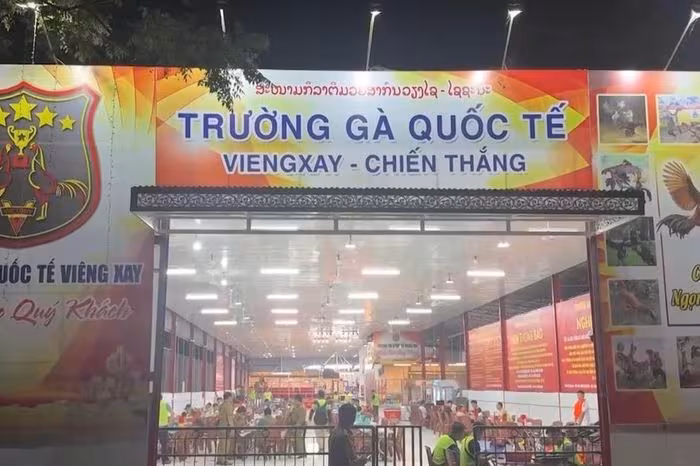 Triệt phá "trường gà quốc tế Viêng Xay": Đường dây đánh bạc 1.200 tỷ