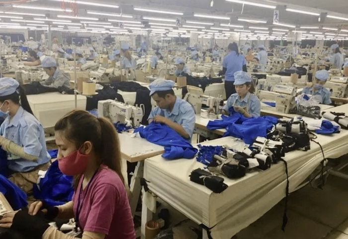 Công ty CP May xuất khẩu Phan Thiết được mệnh danh là "vua cổ tức" nhờ chính sách chi trả tiền mặt hào phóng.