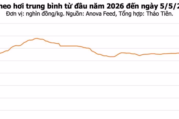 Giá heo hơi ngày 5/5: Đồng Nai chạm mốc 70.000 đồng/kg, miền Bắc tăng nhẹ